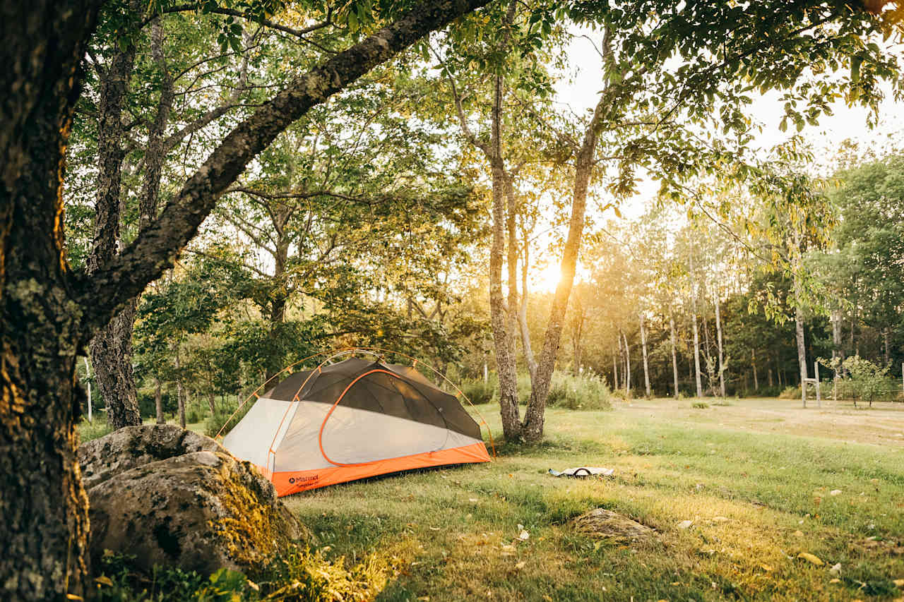 perfect spot for a tent 