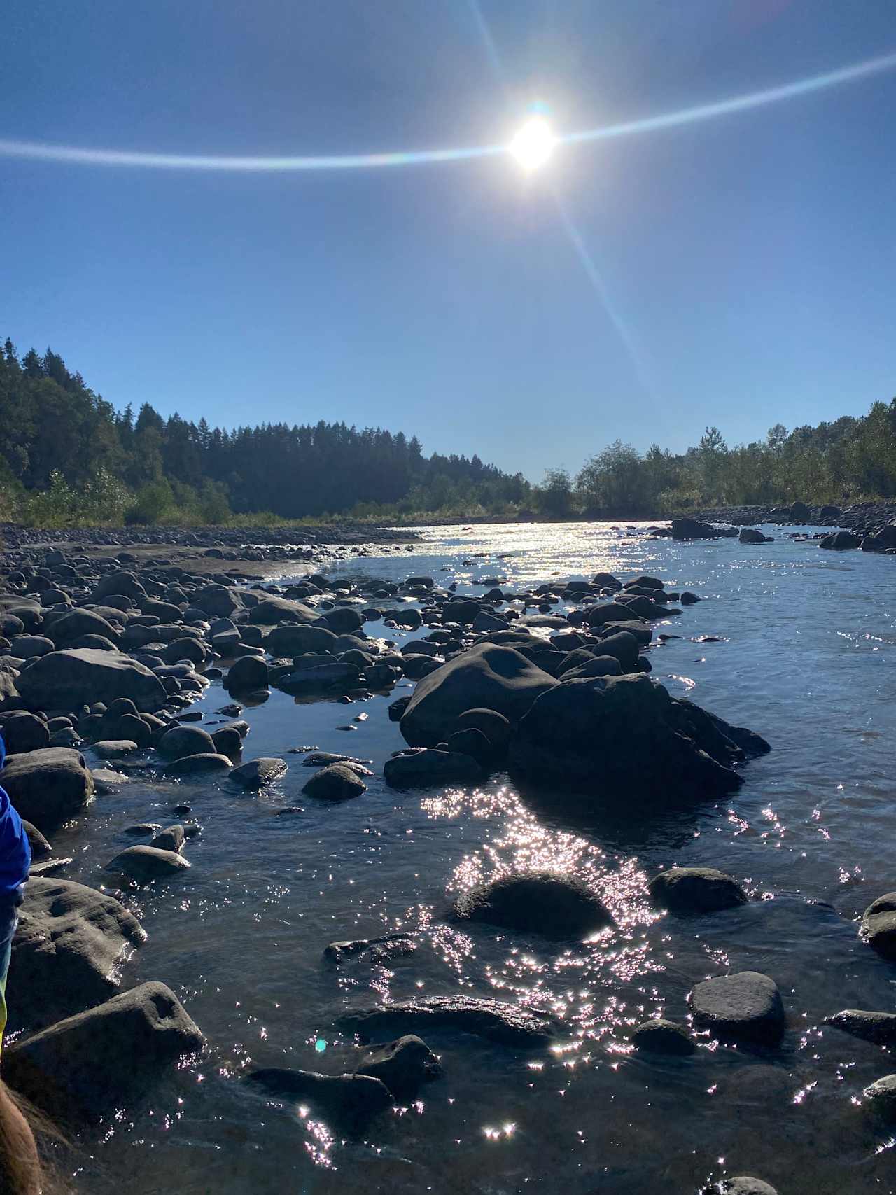 The Toutle River. About a two minute walk from the sites. 