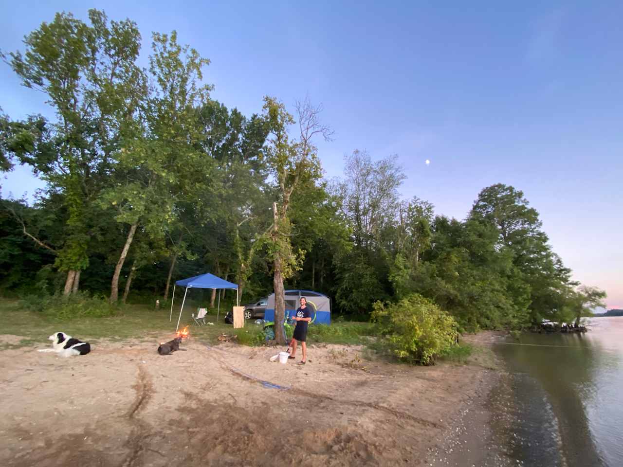 Blue Heron Landing