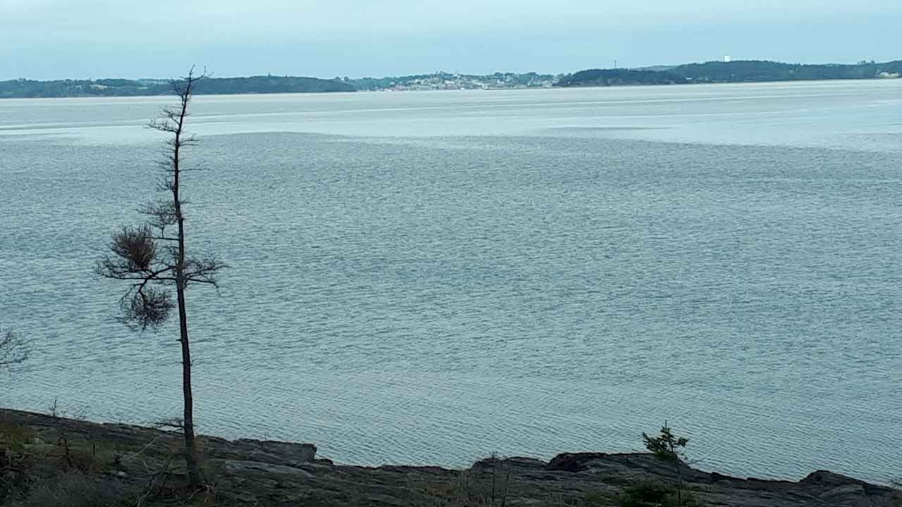 Lunenburg Bay with Lunenburg in the back