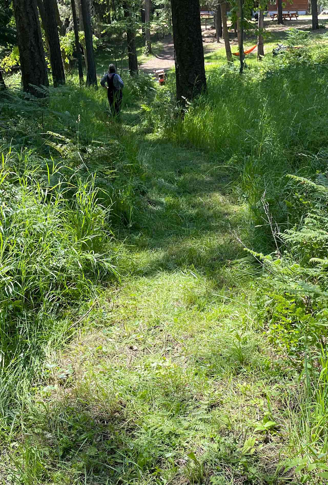 Walking trails.  Be sure to bring good shoes!