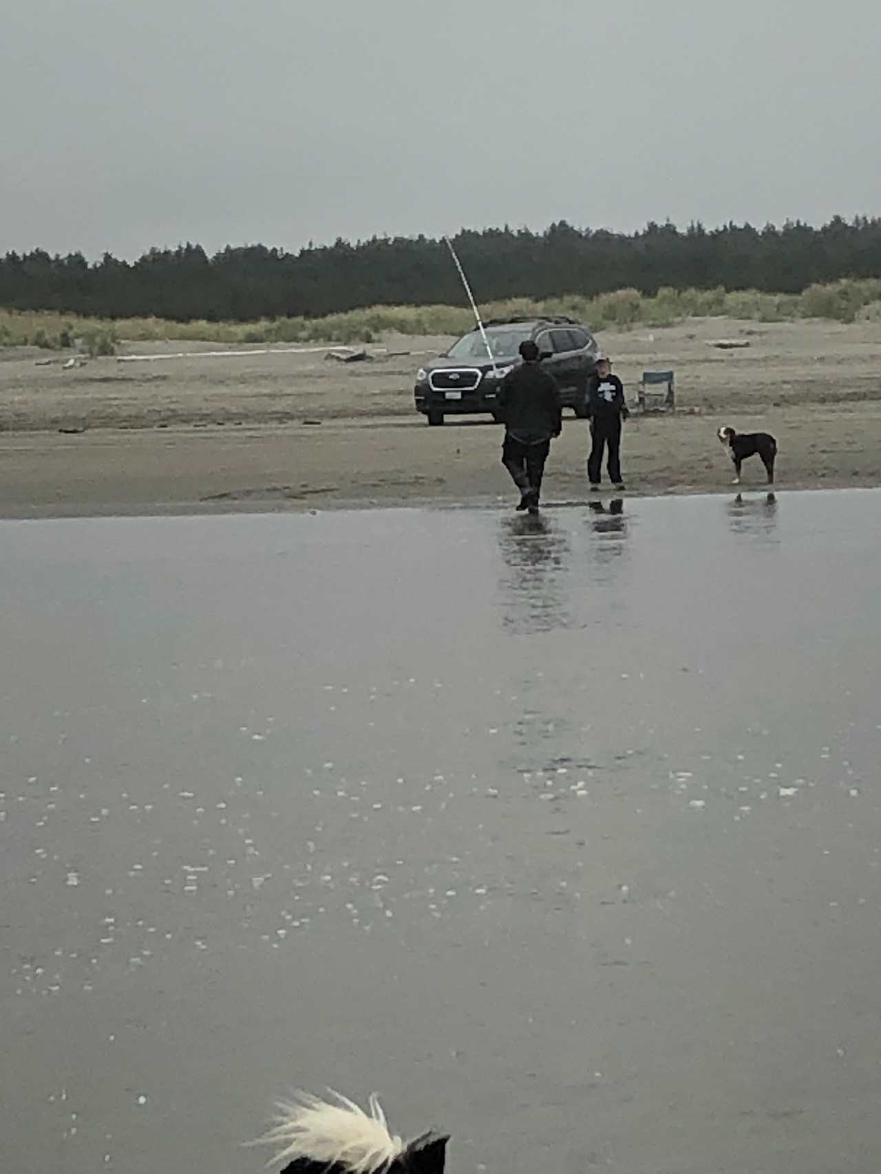 a day at the beach