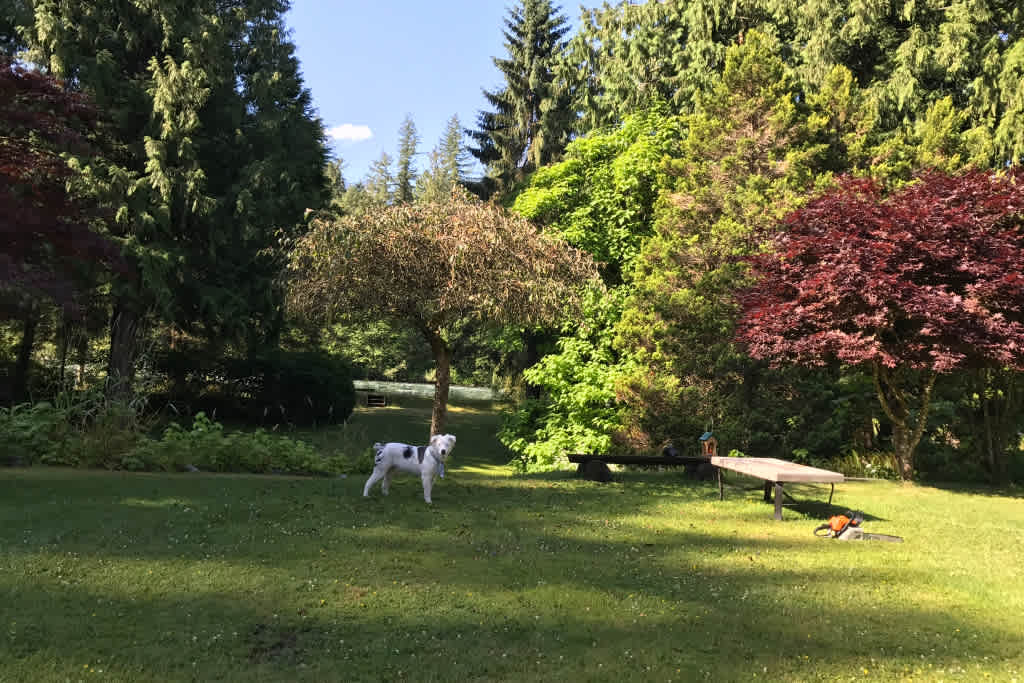 Living Large on Chilliwack River