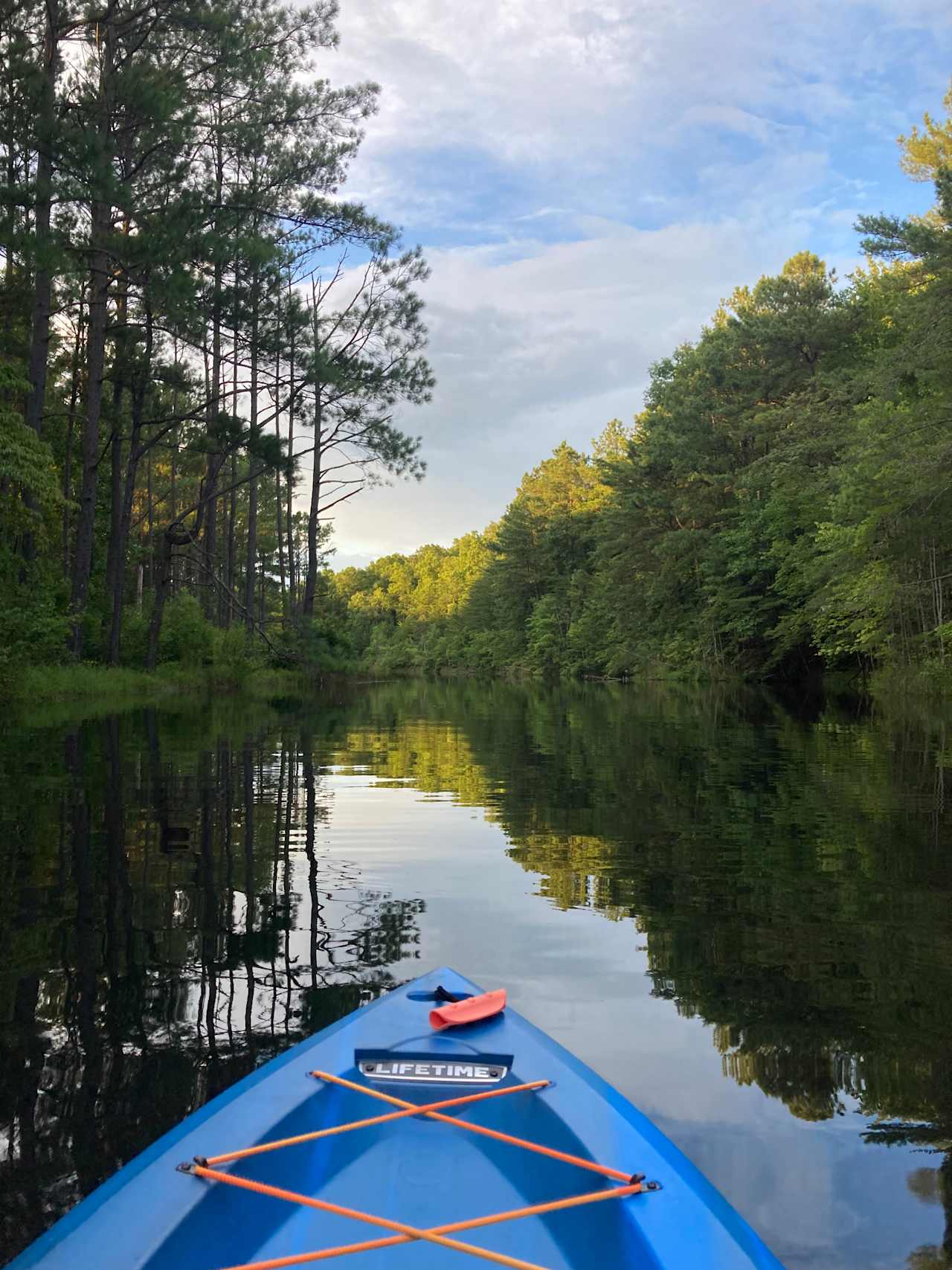 Swafford's Hollow