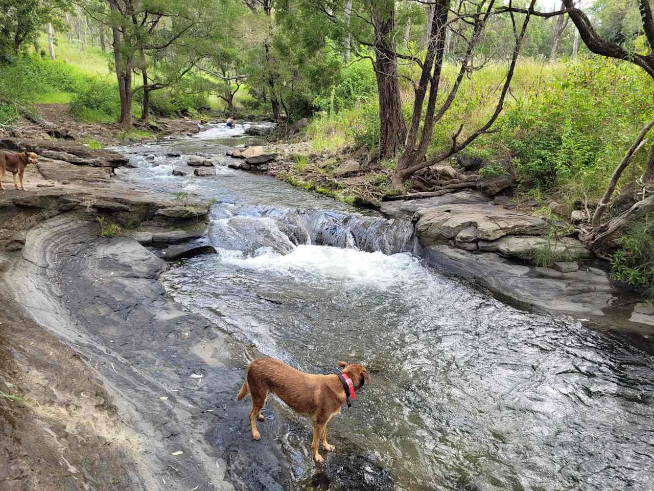 Over the Creek