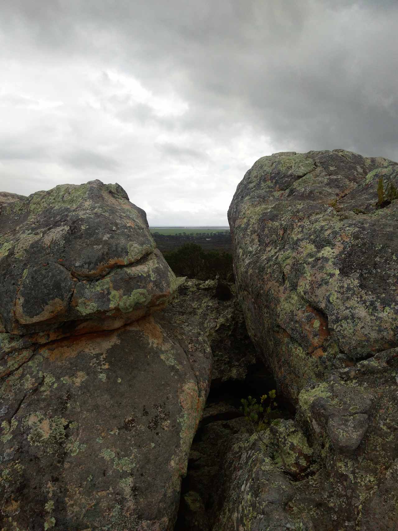 Rock climbing close by.  See the condi valley.