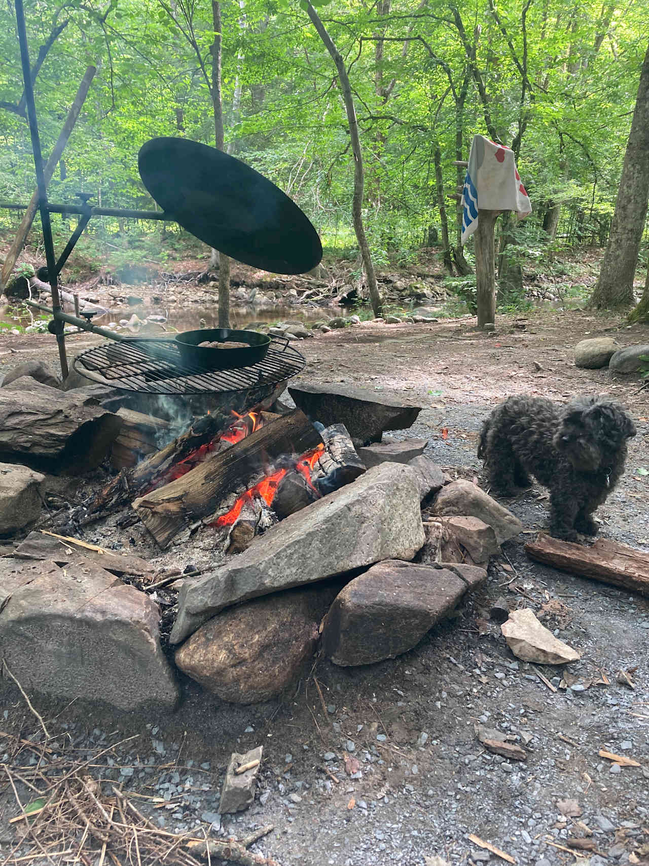 Breakfast cooking. 