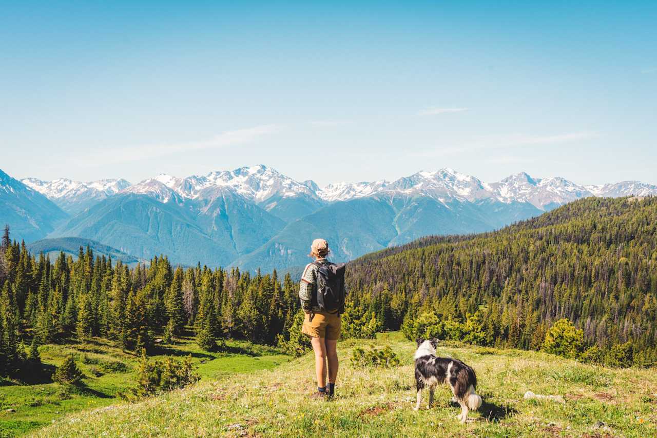 Taking in the views beyond Brett Camp.