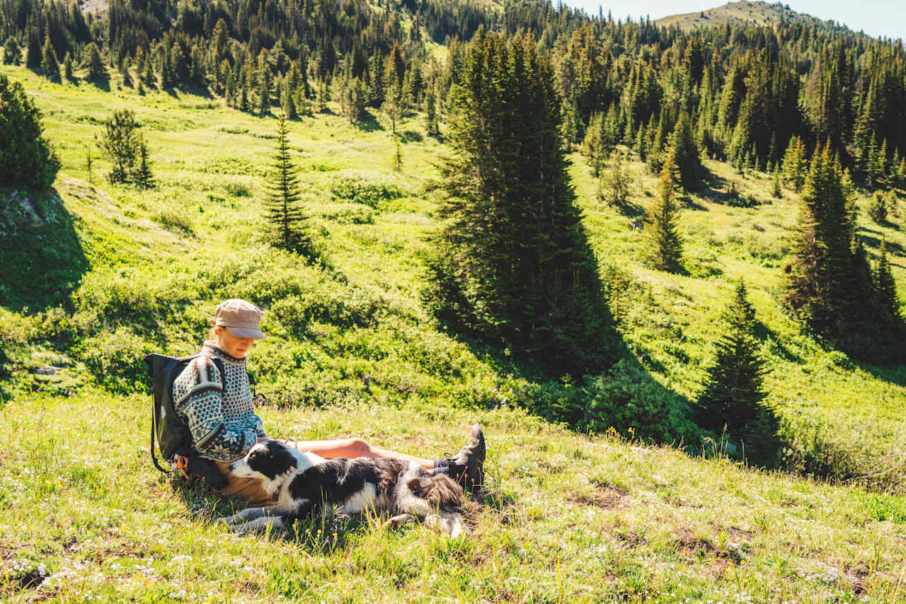 Taking in the views beyond Brett Camp.