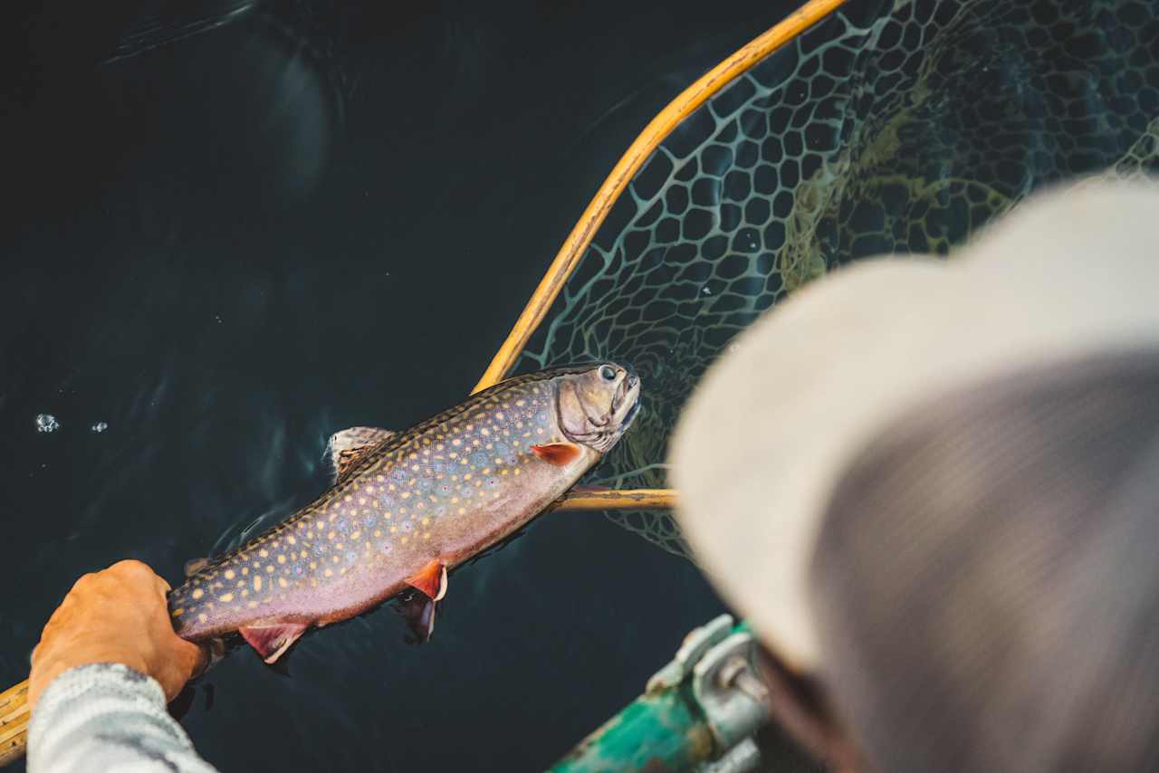 Flyfishing on a nearby lake. 