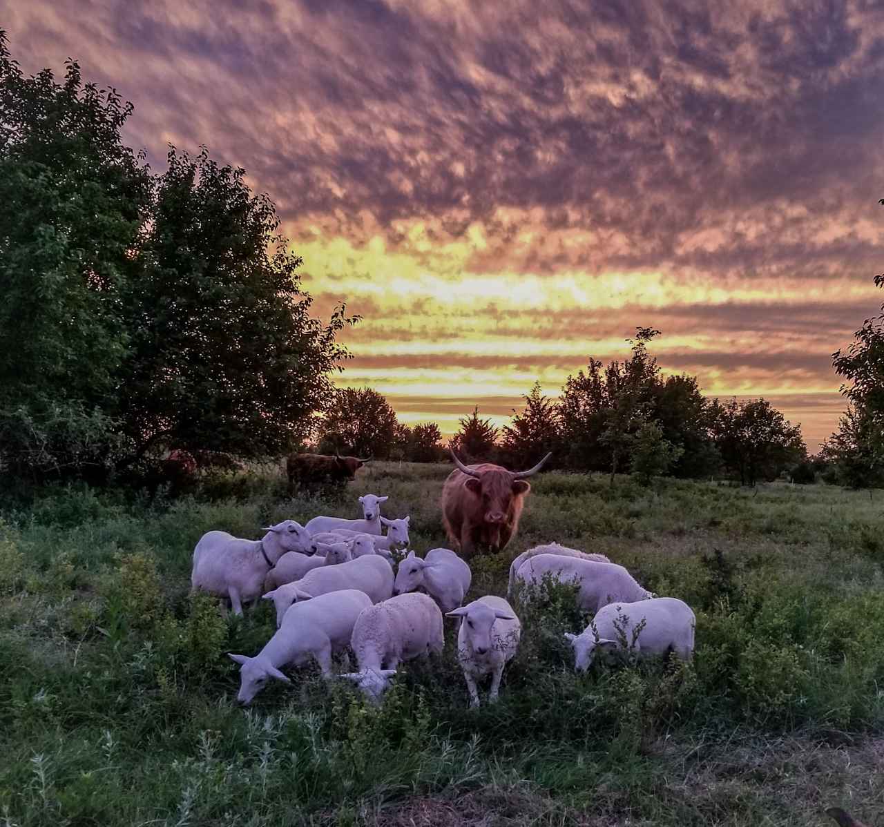 Eagle Ridge Ranch