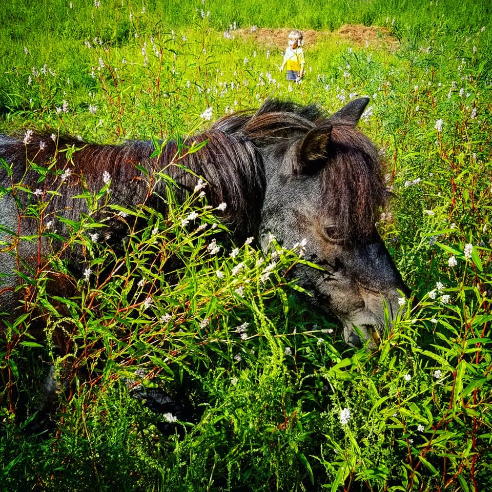 Eagle Ridge Ranch