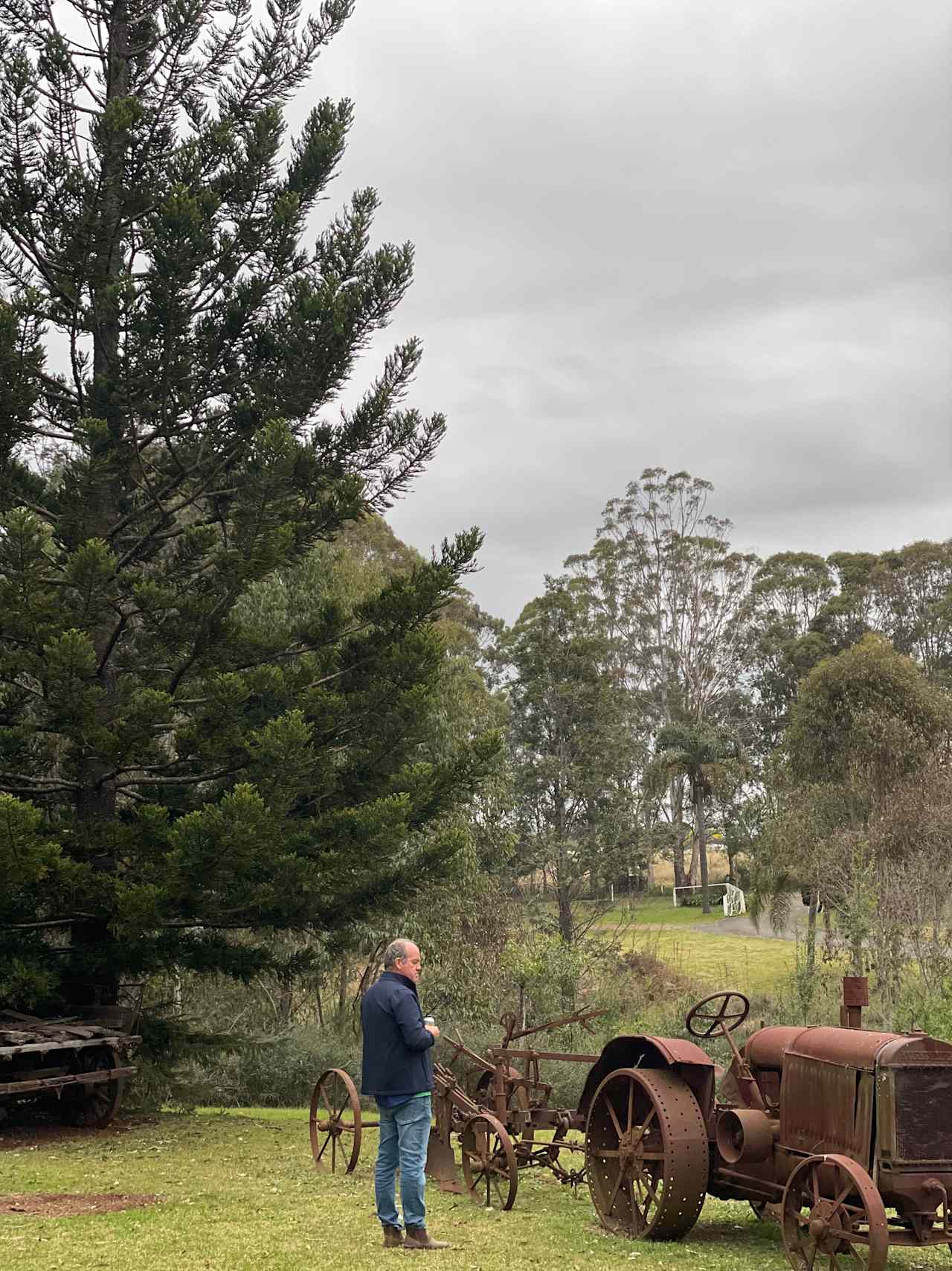 Campsite grounds 