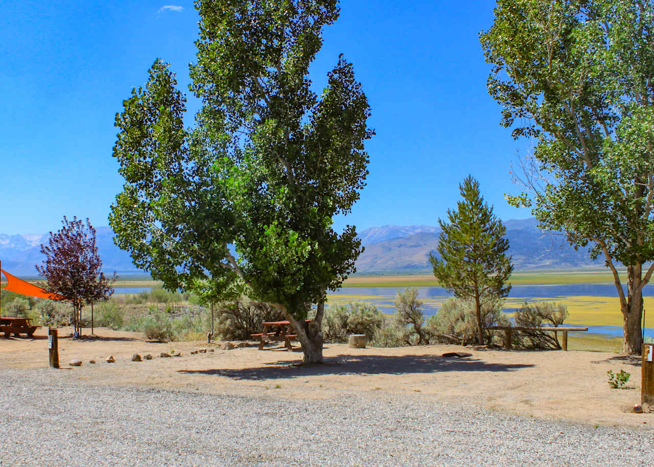 Site 15 - Tent Only Site