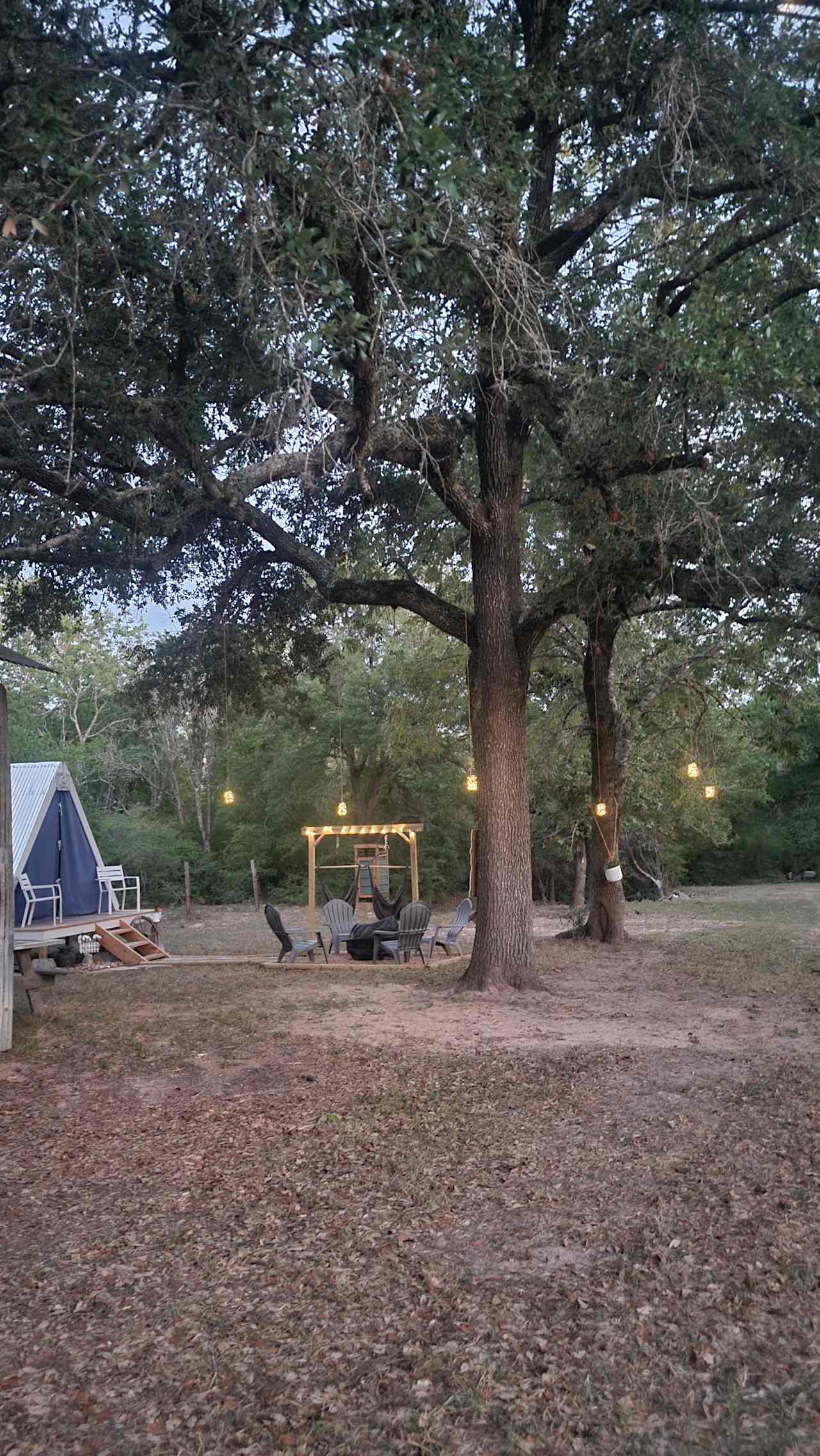 The Magnolia as the sun goes down! Romantic mood lighting thanks to those solar powered mason jar lanterns