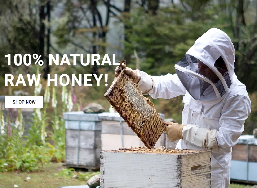 The Hills of Sierra Honey Farm