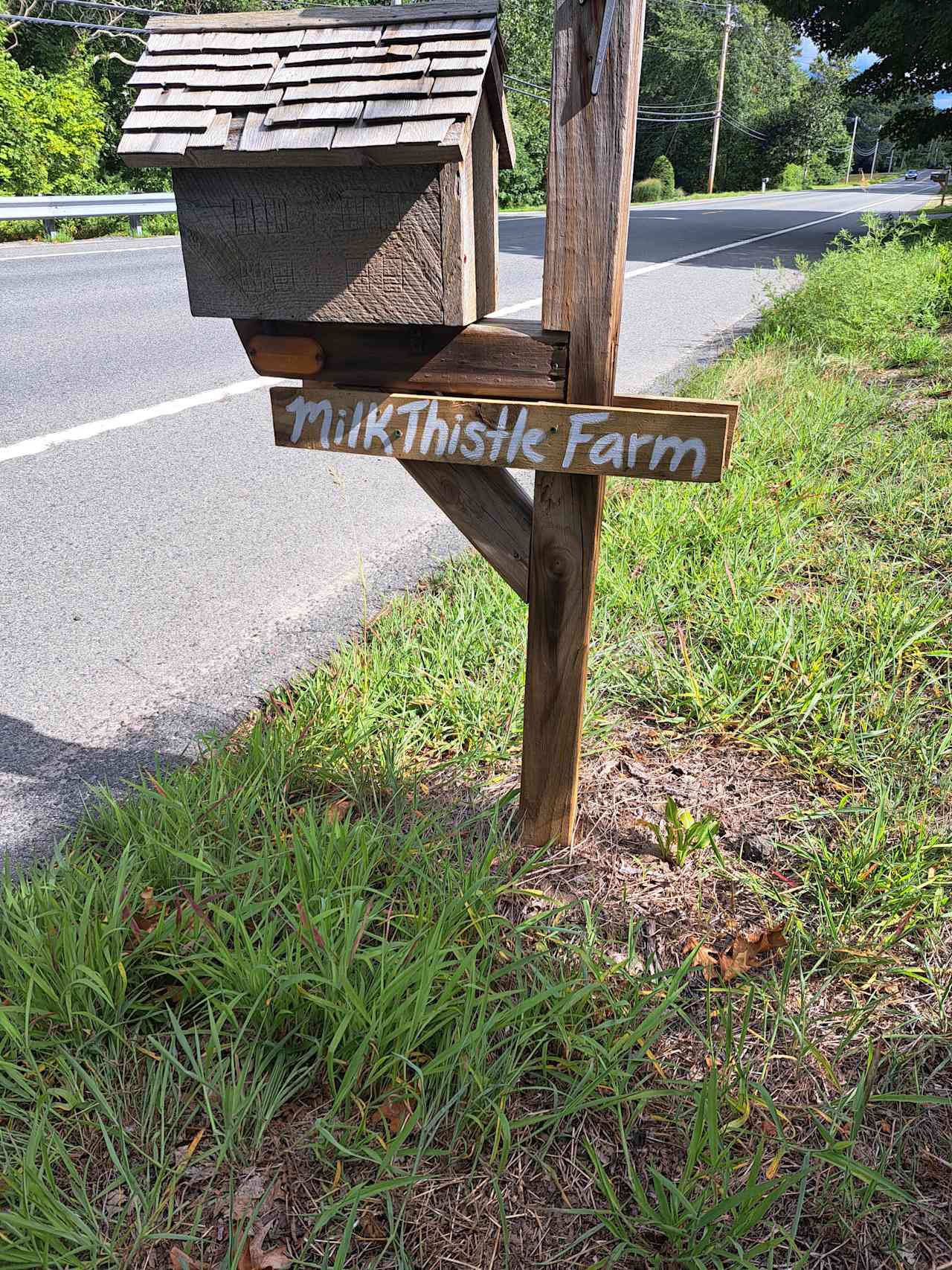 Milk Thistle Farm