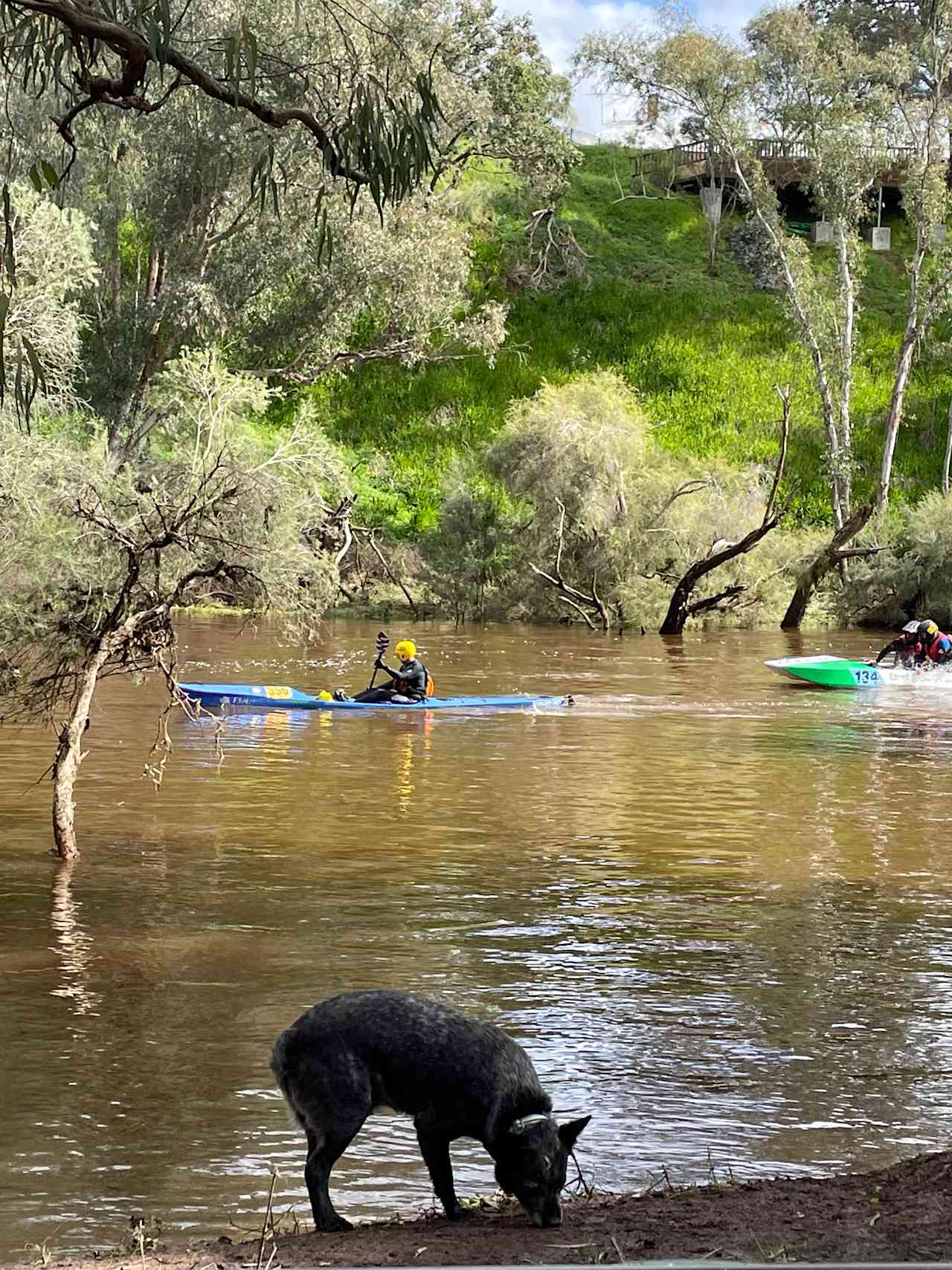 Swan Valley Riverside