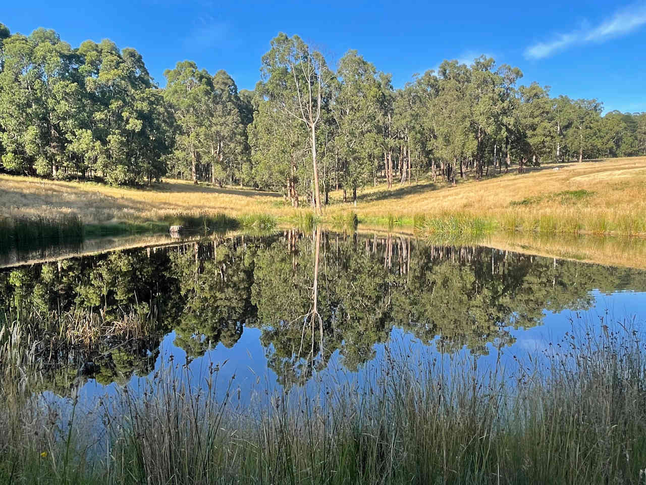 Another view of the dam next to the campsites.
