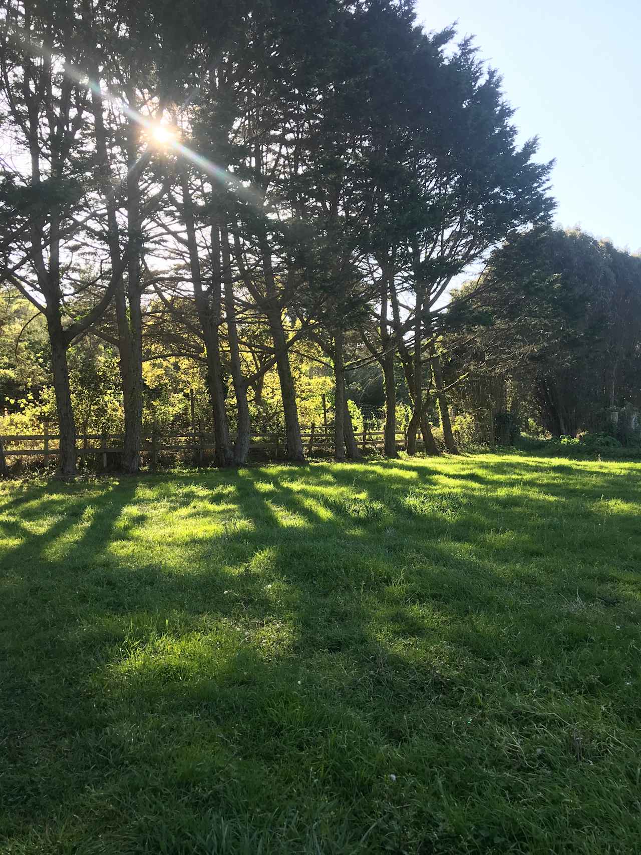 Cypress Pasture - pitch your tent. Early Spring