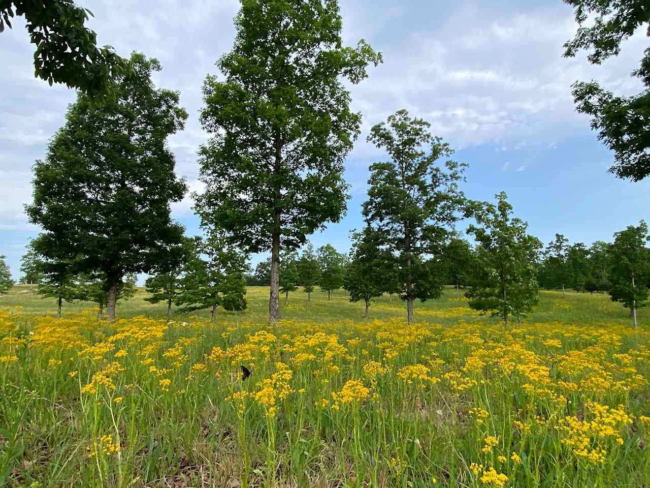 The land looks different each season - taken during the spring