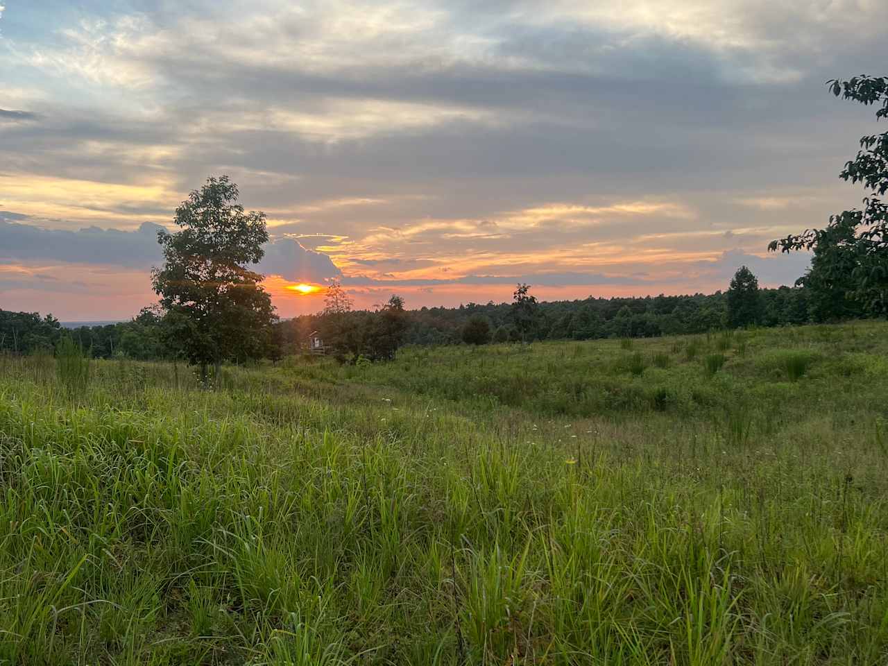 View of the native savannah where the campsites are located