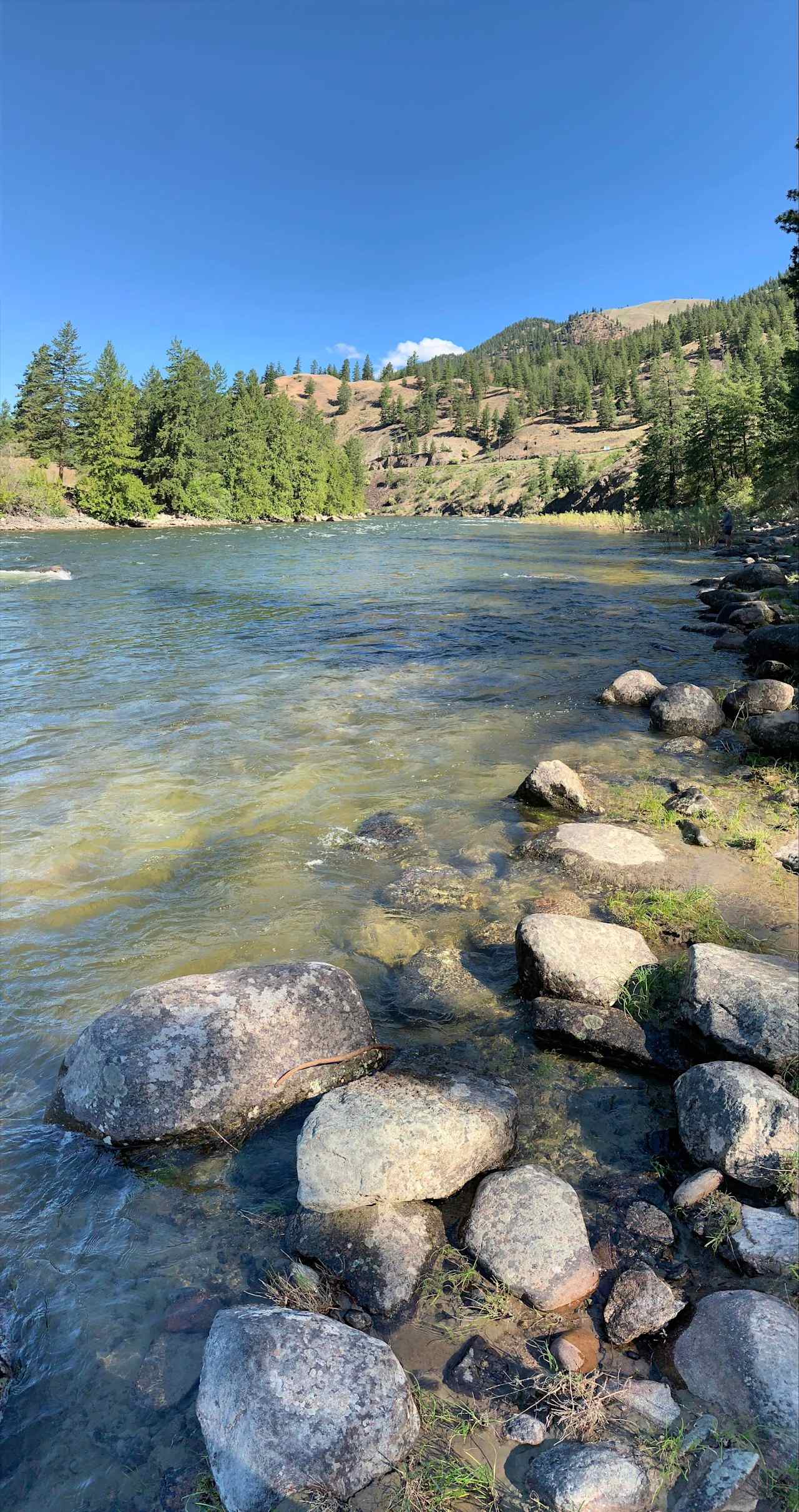 Pineview camping