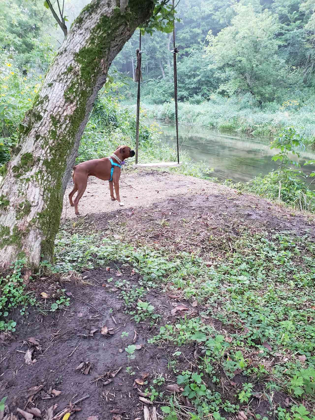 Belle Creek Bluff