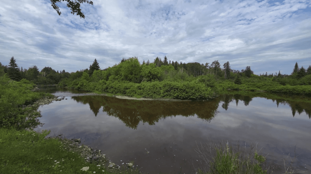 Cabin near Pine River