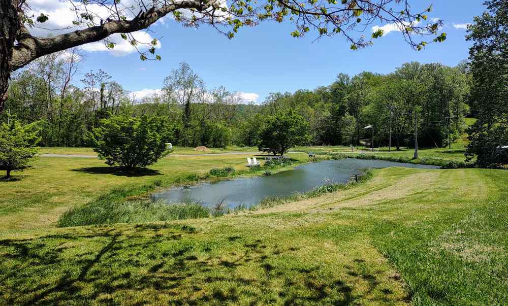 One of two ponds located on the property for catch & release fishing!