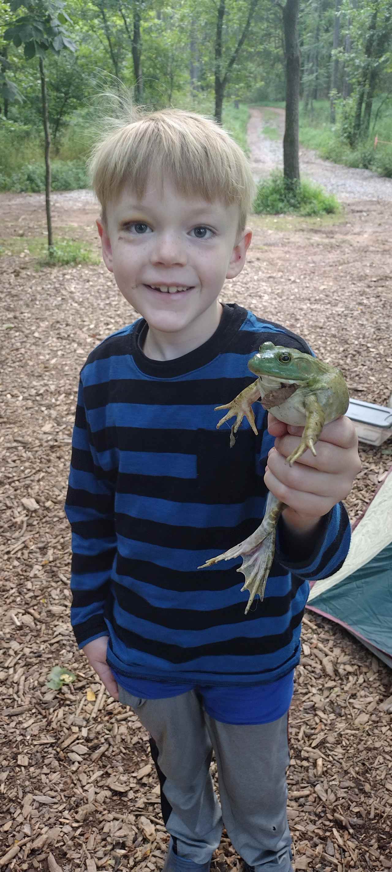 Big Bullfrog right at camp