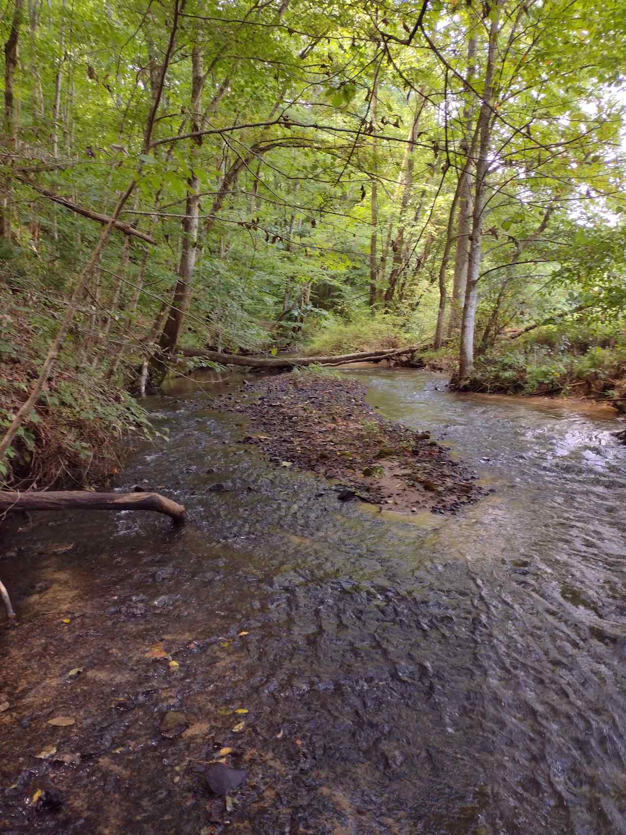 Premative creek side camping 