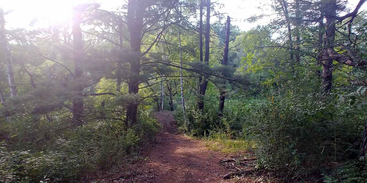 Trail side pond return