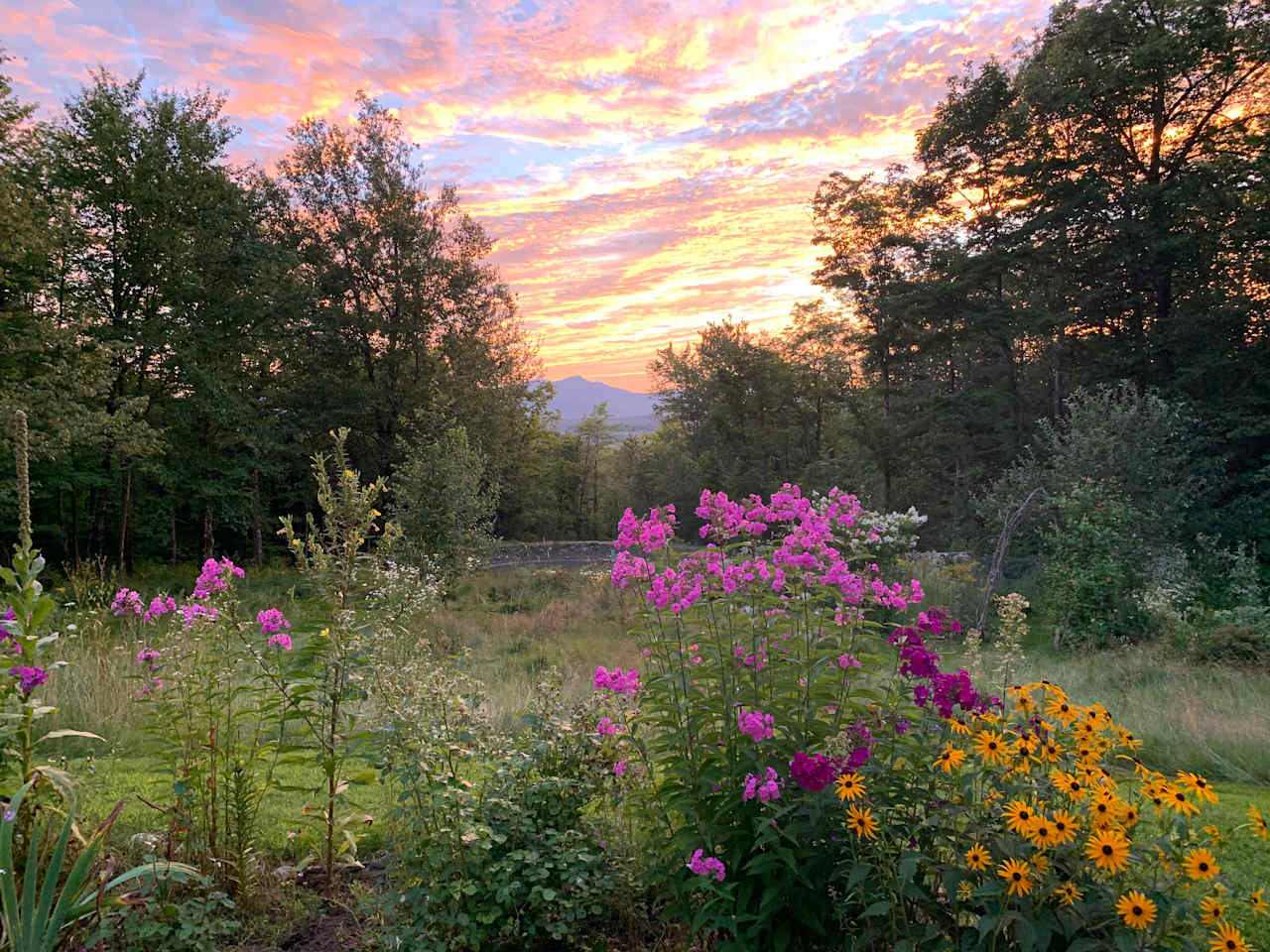 Froggy Acres Sunset