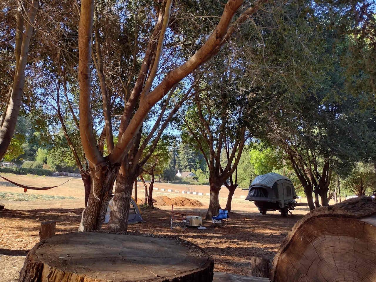 Best Camping in and near Big Basin Redwoods State Park