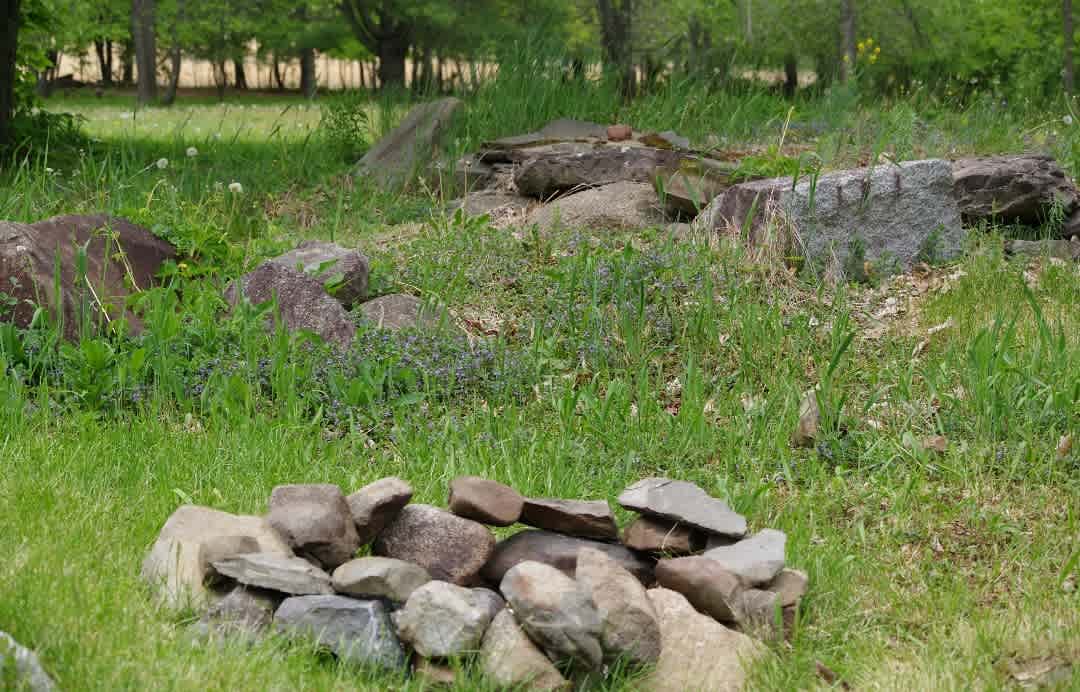 Garden Bed