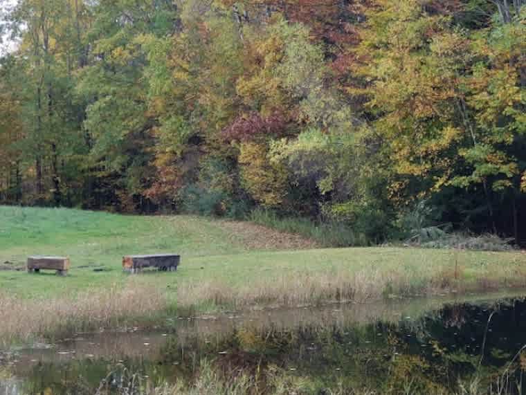 Benches to sit and soak and laugh, and visit, your private playground 