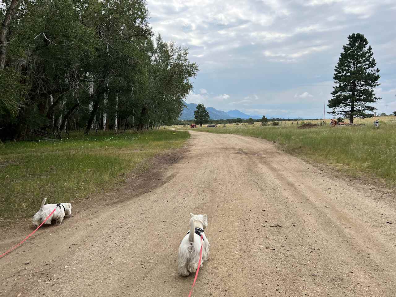 Frenchman's Creek Ranch