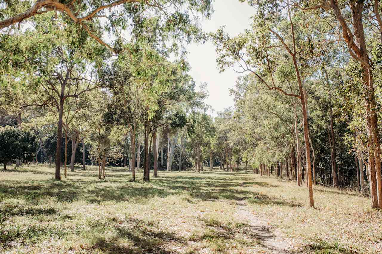 Ups n Downs, Bushland with Lagoon