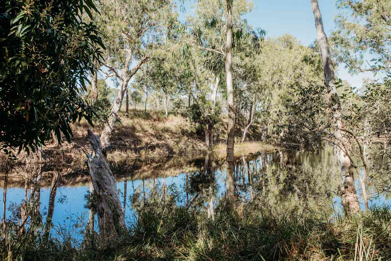 Ups n Downs, Bushland with Lagoon