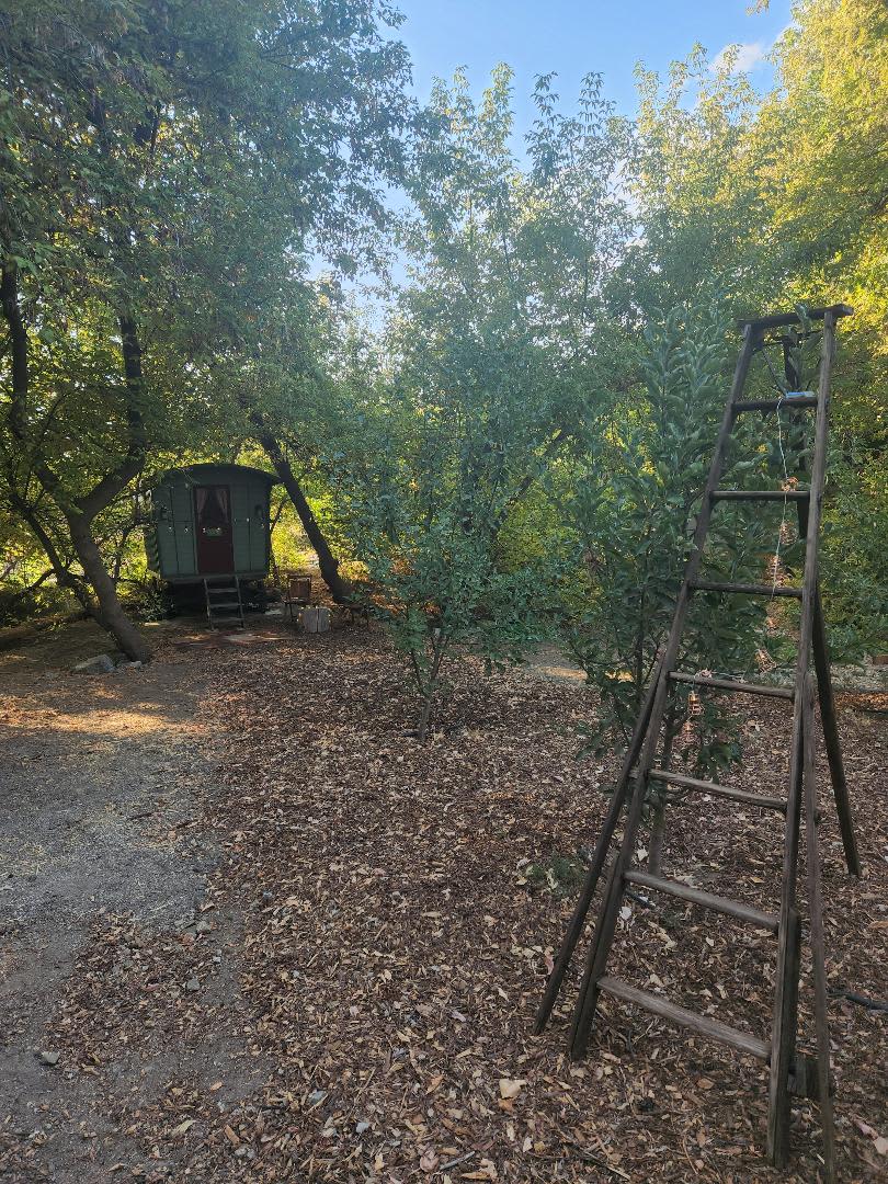 Oak Glen Glamping on Apple Orchard