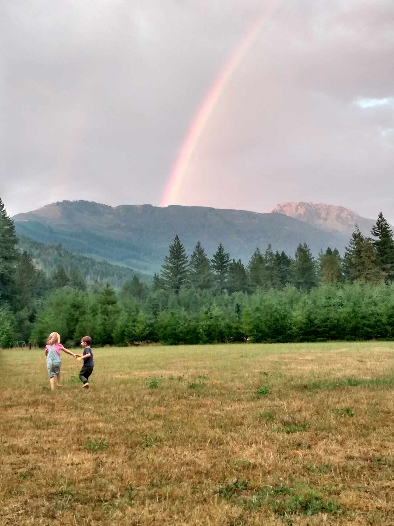 Harrison Family Farm