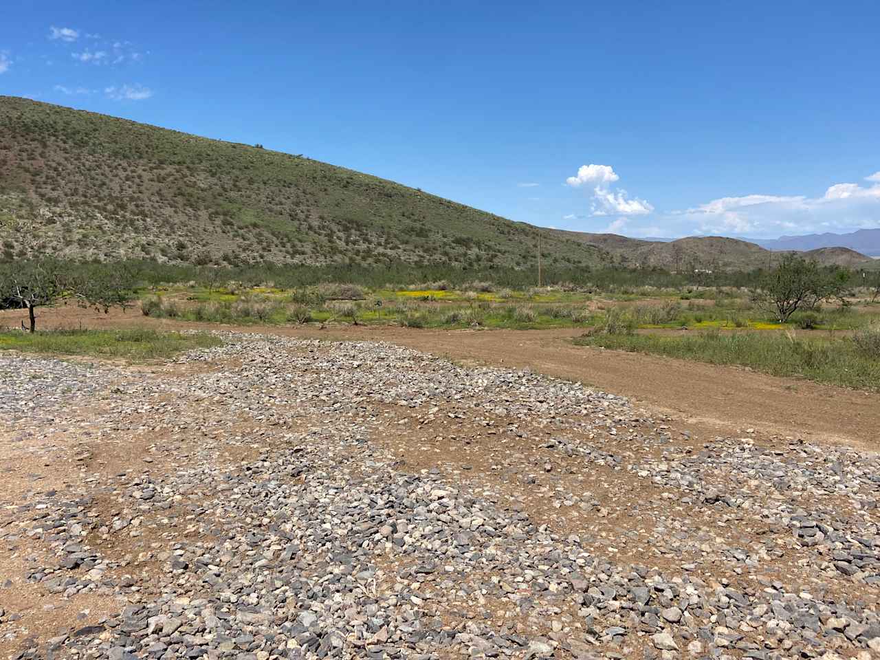 La Cholla Desert RV Campsite