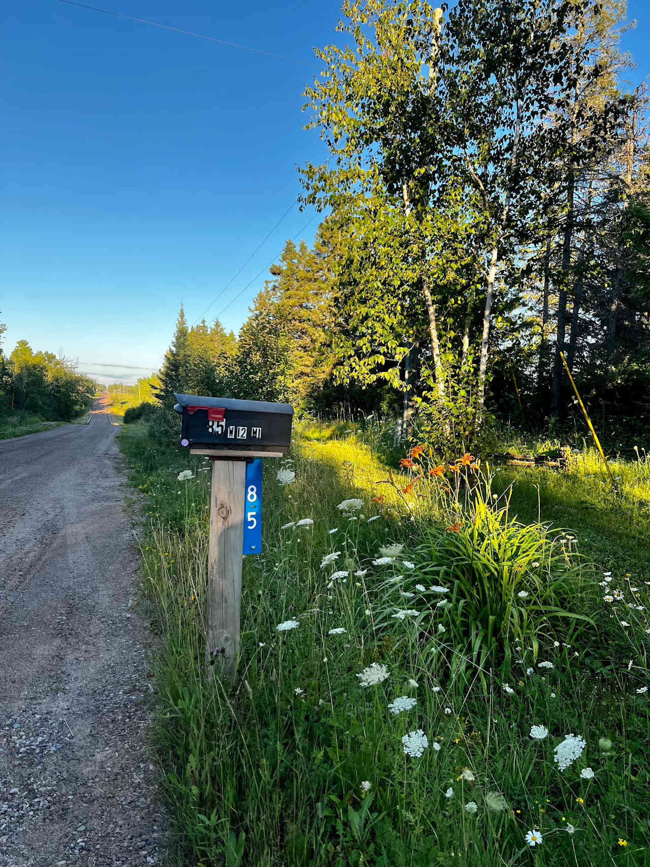 Our mailbox at the end of our driveway. The driveway enters to the south. 