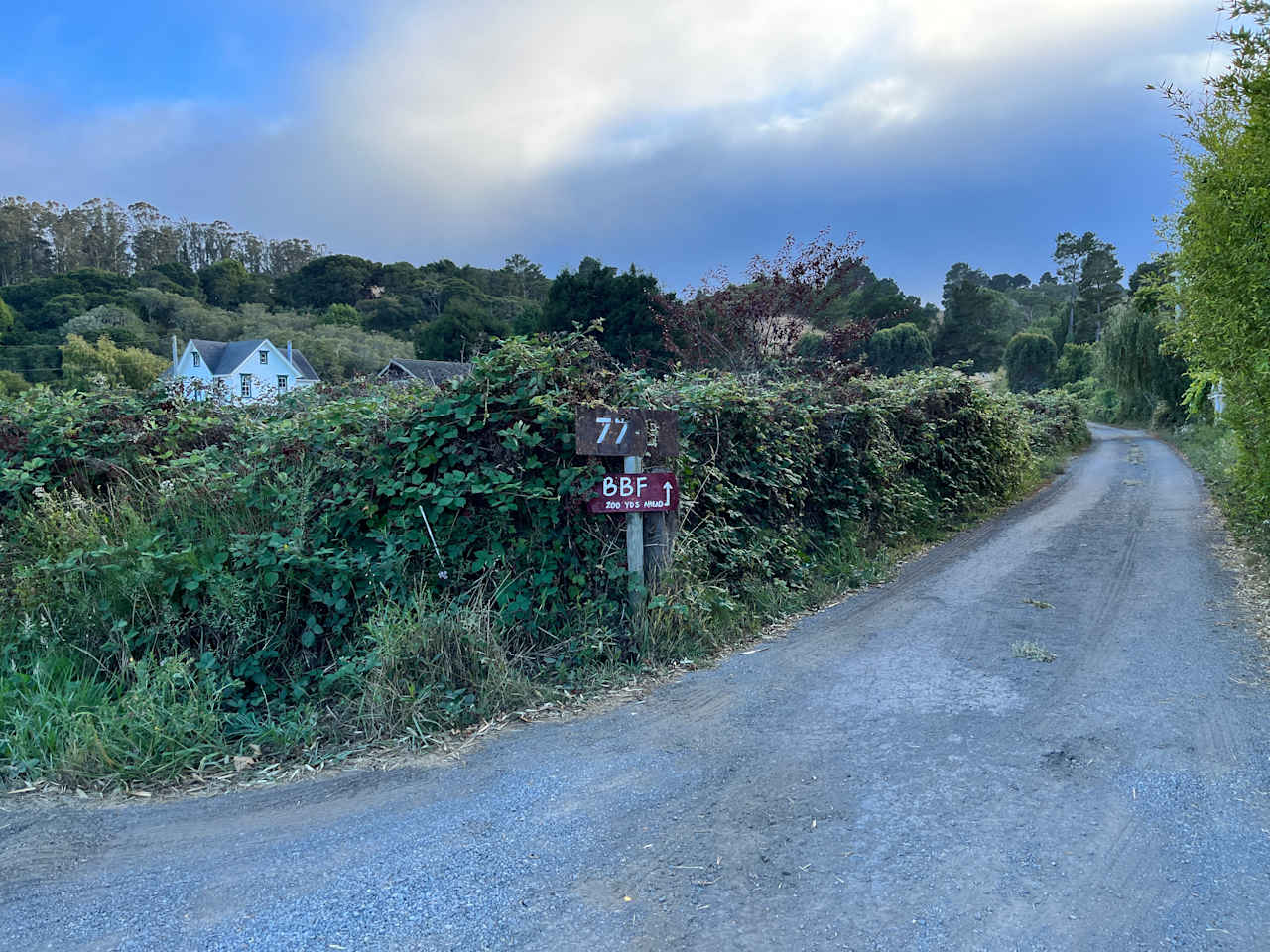 This is the turn off from Olema Bolinas Road immediately after the tall 2 story farmhouse. Slow down when you see the tall white farmhouse thats close to the road otherwise you’ll miss the turn onto the small lane.