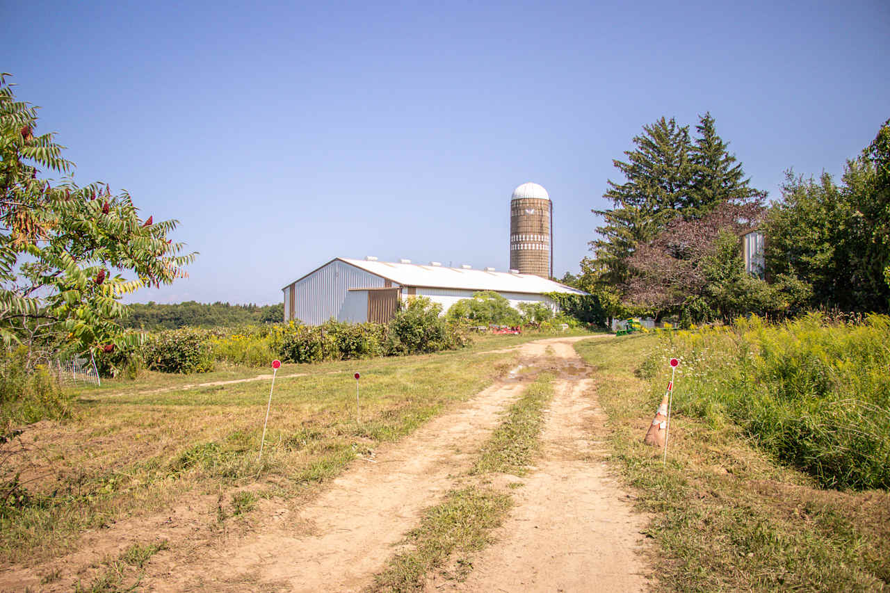 Toboggan Hill Farm