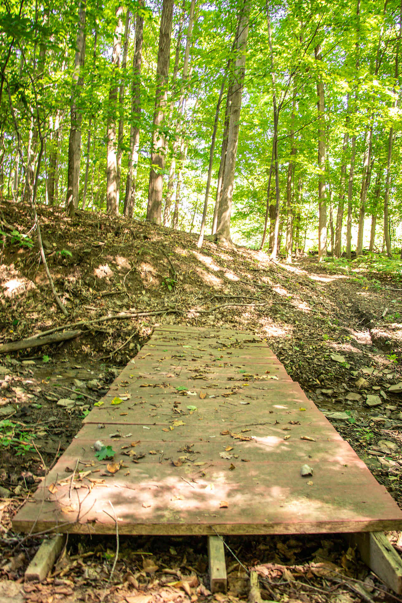 The footbridge leads down to a wooded area that is perfect for tent camping