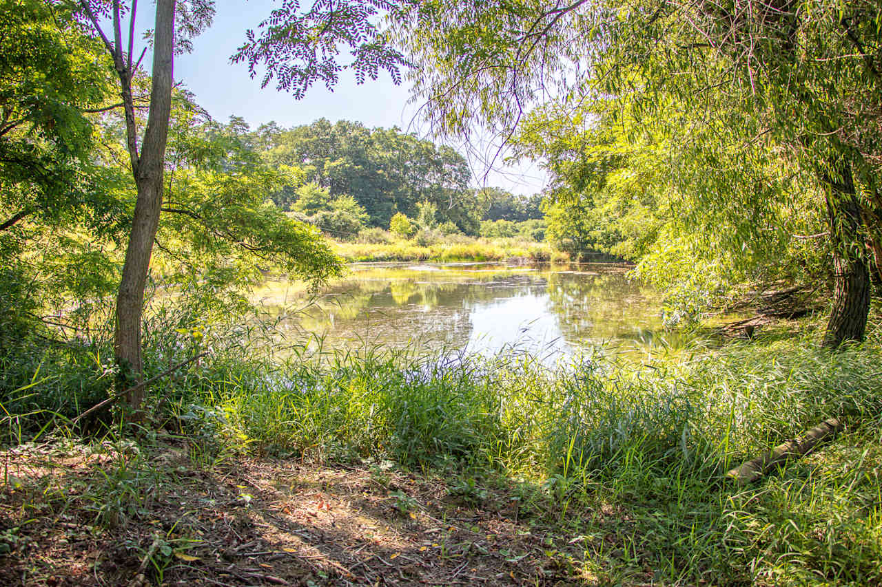 View of the pond, another area you can set up camp