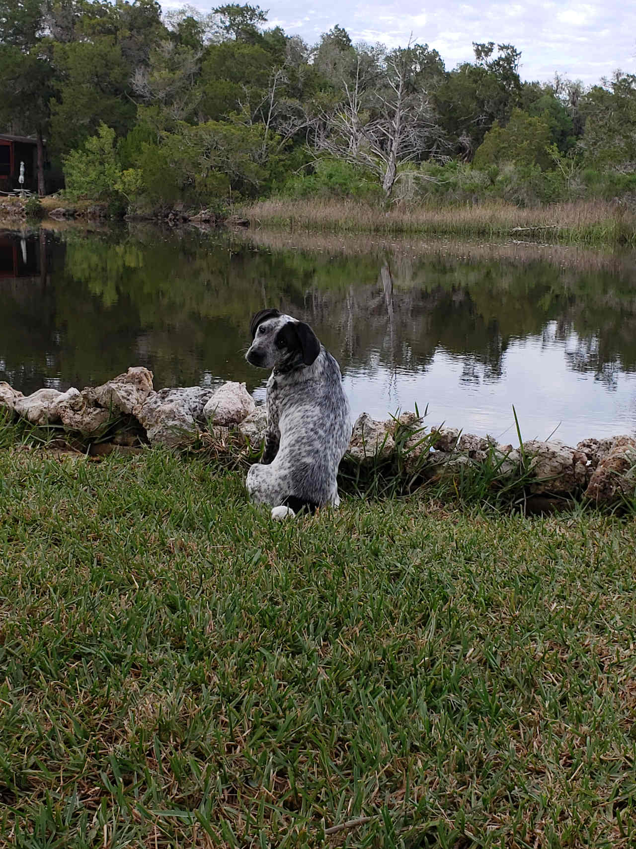 Beat Views on Mason Creek with Dock