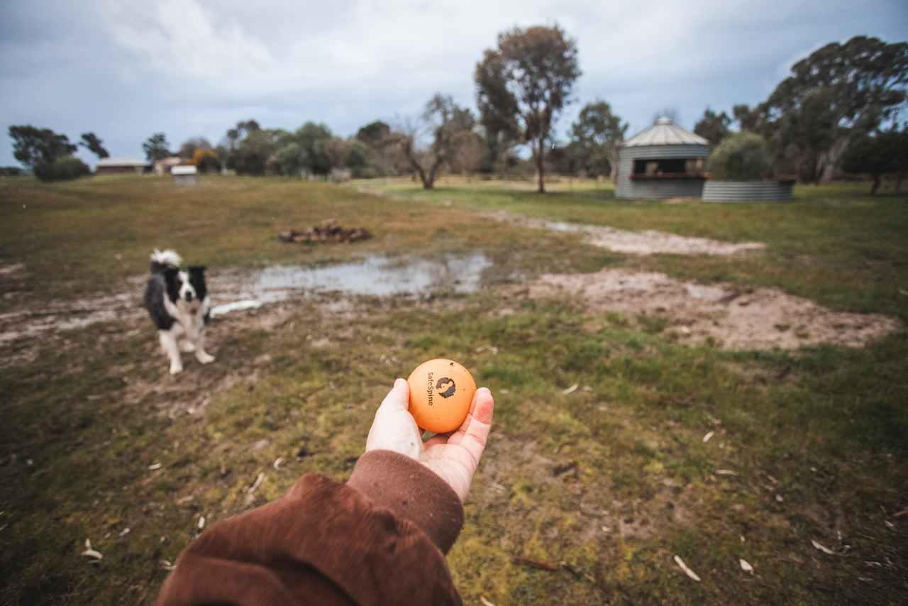 Fulham Homestead